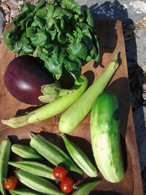 Fresh garden bounty