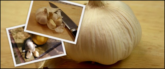 garlic-collage